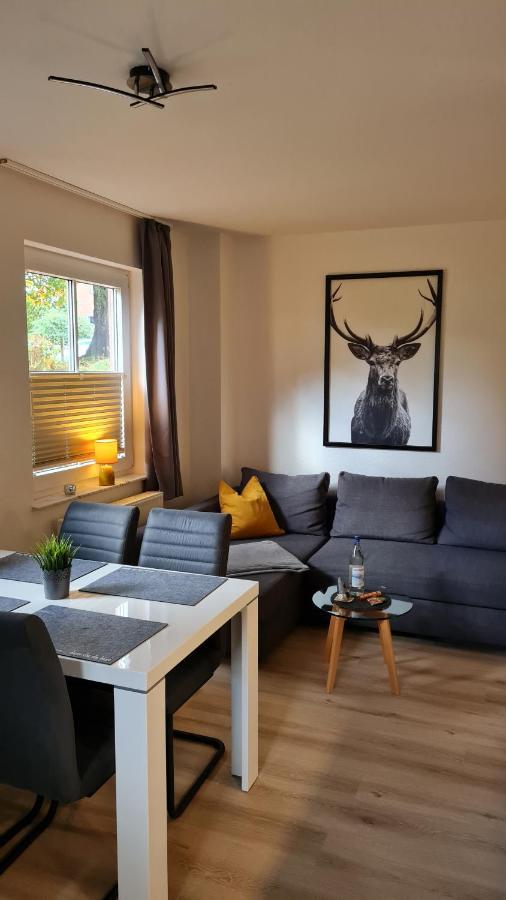 Ferienwohnung Braunlage - Gemuetliche Auszeit Екстериор снимка